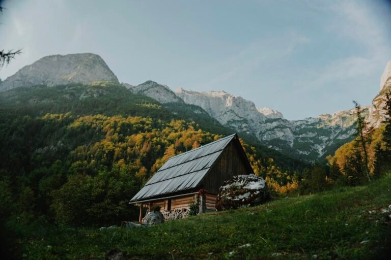 Off-grid cabin for best solar generators for home backup