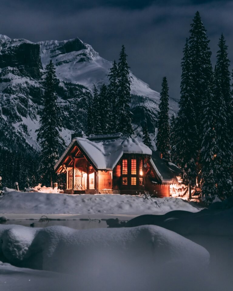 Snowy cabin illustrating power station cold weather performance